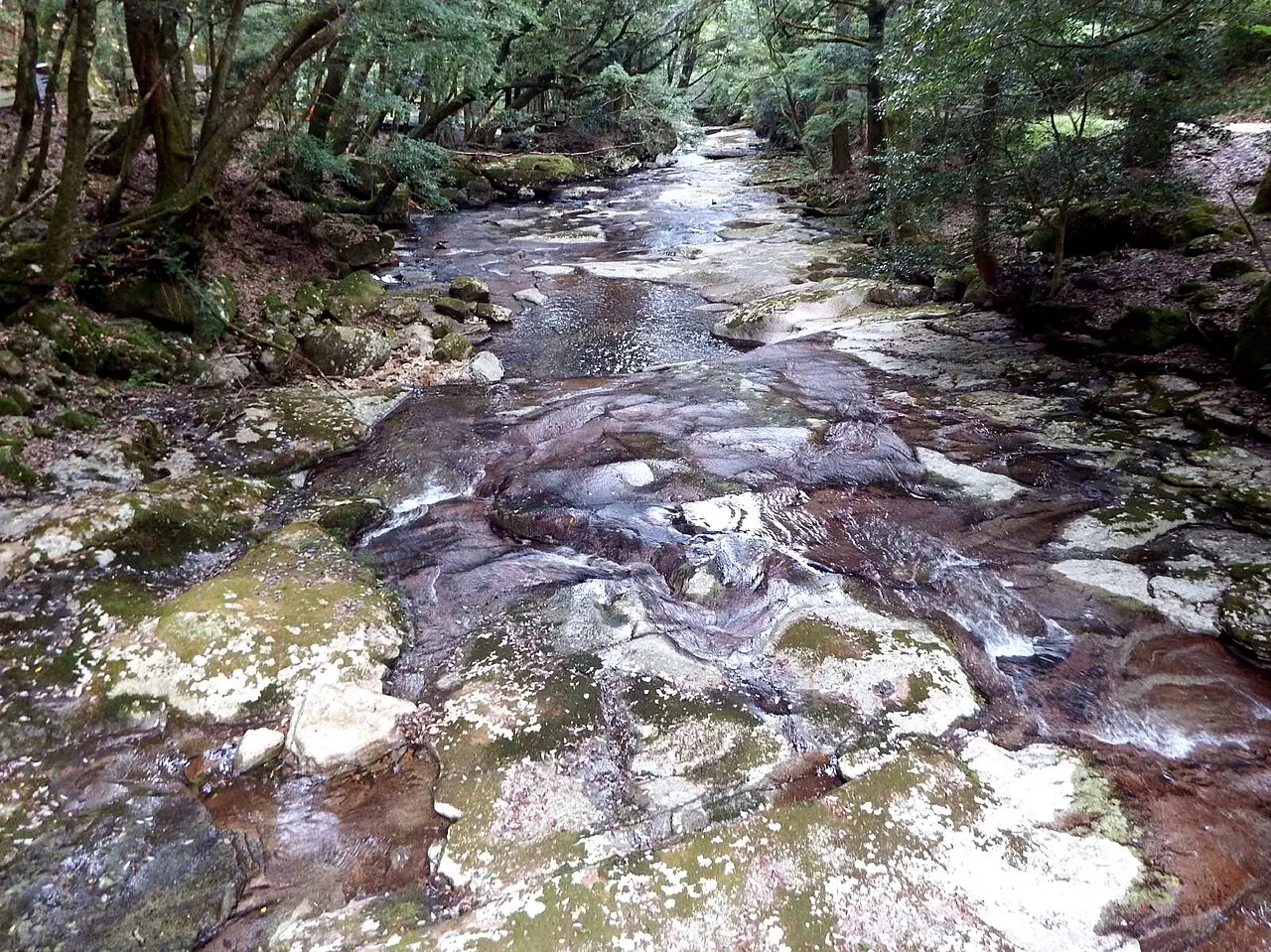 鬼北町:成川渓谷 最上流の車道橋より下流を見る