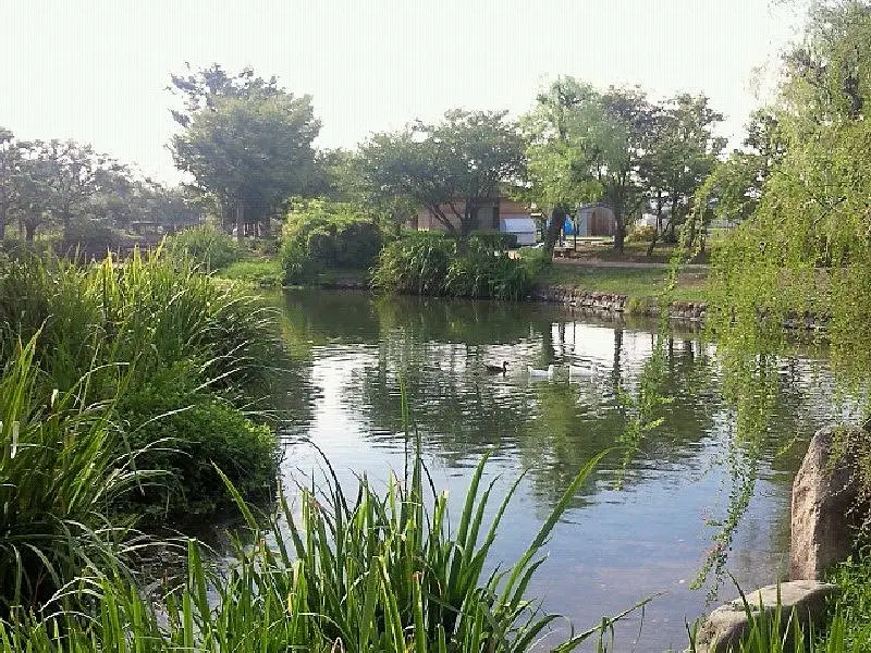 松前町：ひょこたん池公園