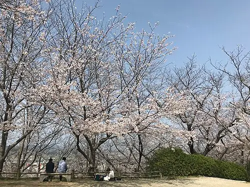 笹山公園