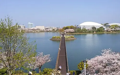 駕与丁公園