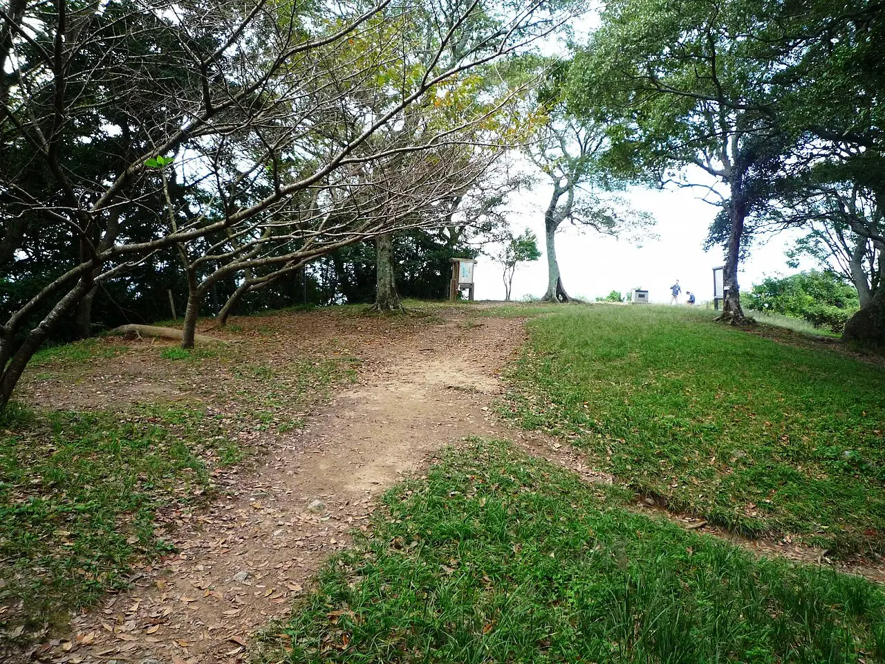 新宮町:立花山城