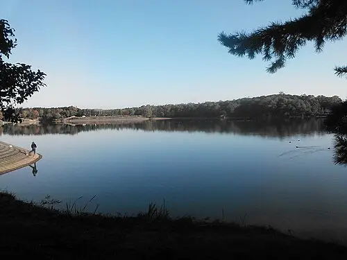 公渕森林公園