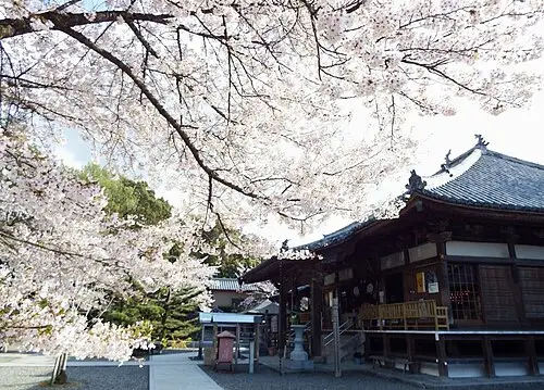 大興寺 (三豊市)