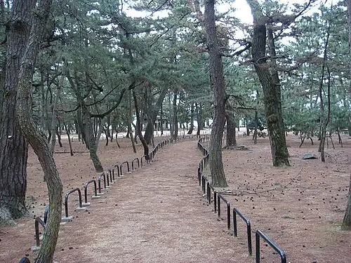琴林公園