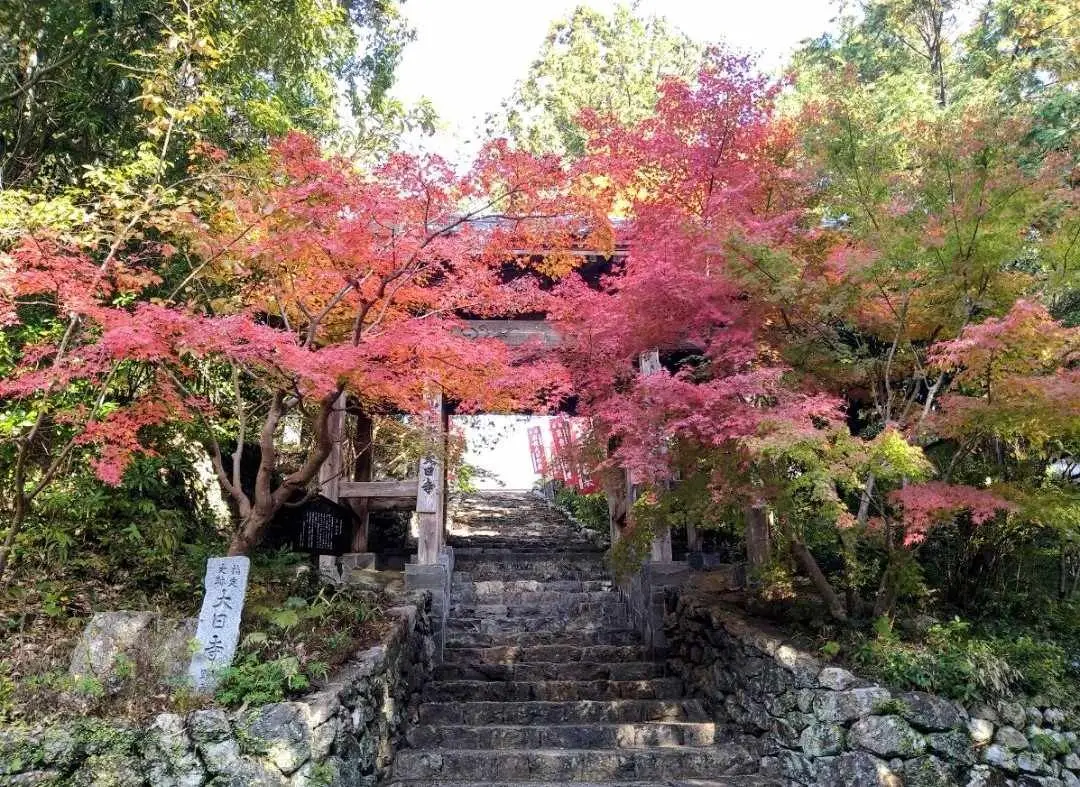 香南市:大日寺 (香南市)