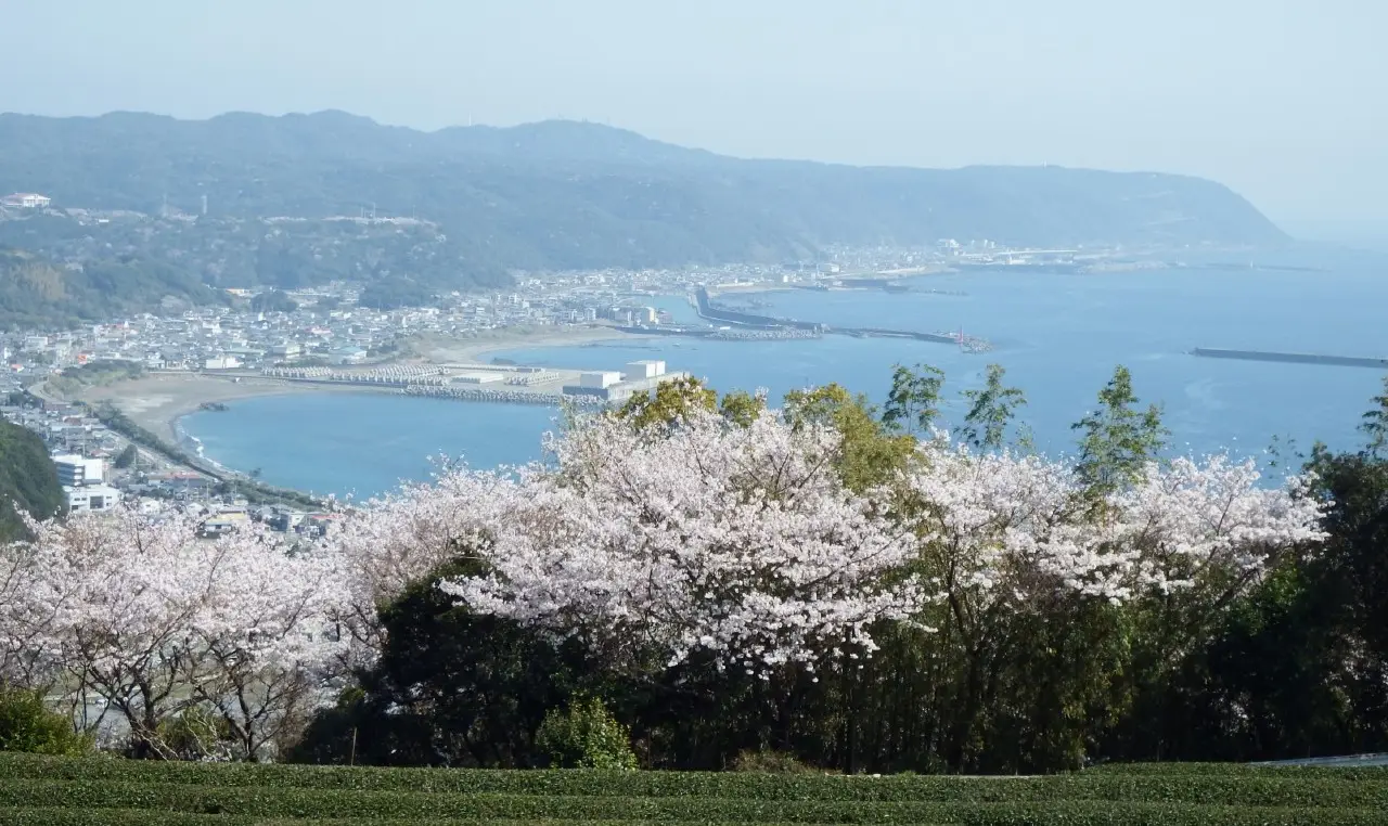 室戸市：室戸半島（室戸岬）