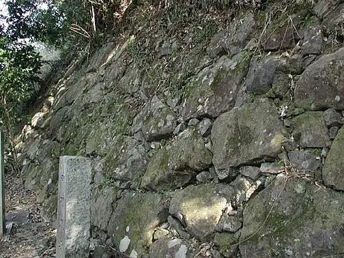 中村城 (土佐国)