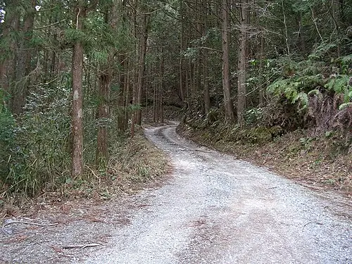 森城 (土佐国)