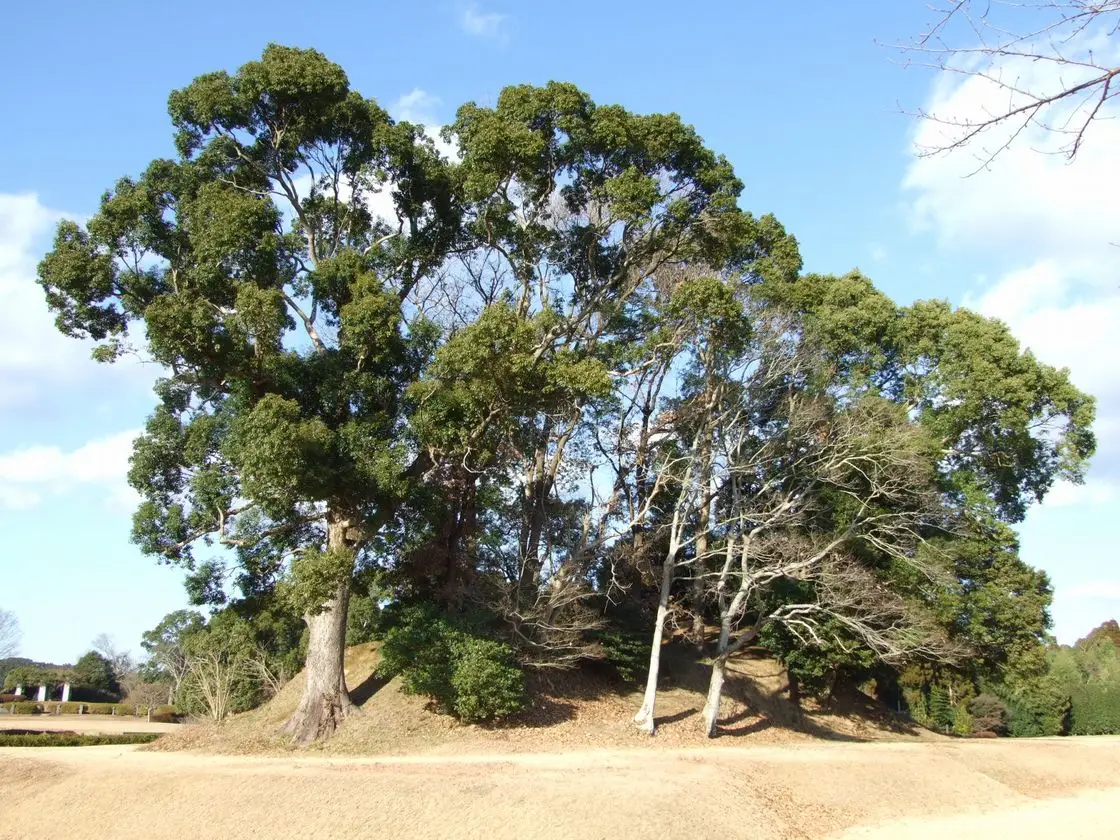 和水町：江田船山古墳