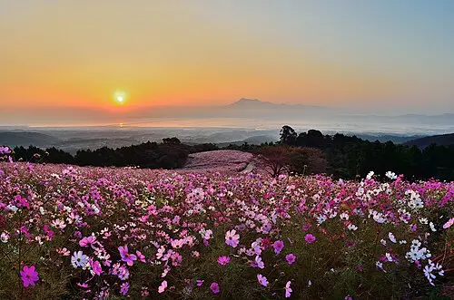白木峰高原