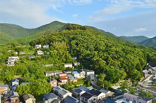 清水山城 (対馬国)