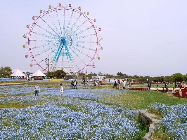 福岡県:CIRCLE (イベント)