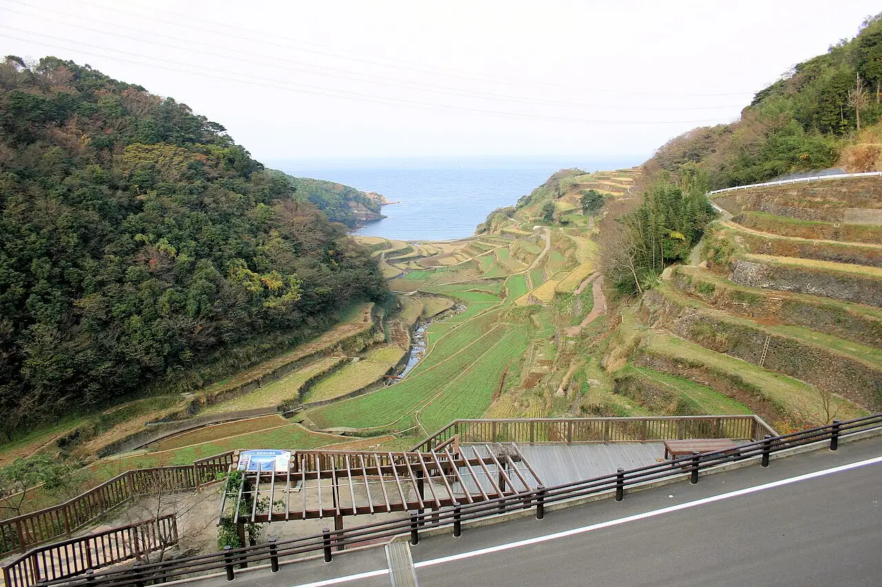 玄海町:浜野浦の棚田