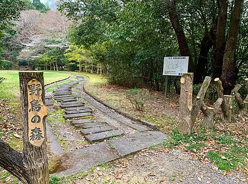 野鳥の森