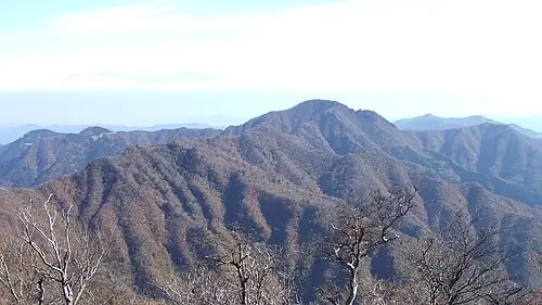 高丸山 (上勝町・那賀町)