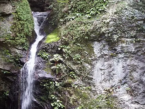 星谷寺 (徳島県勝浦町)