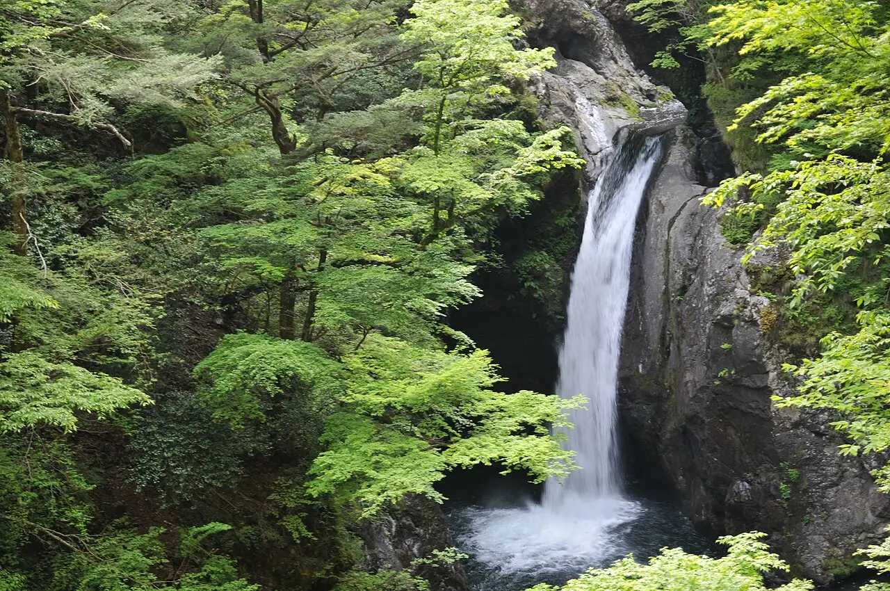 那賀町:大釜の滝