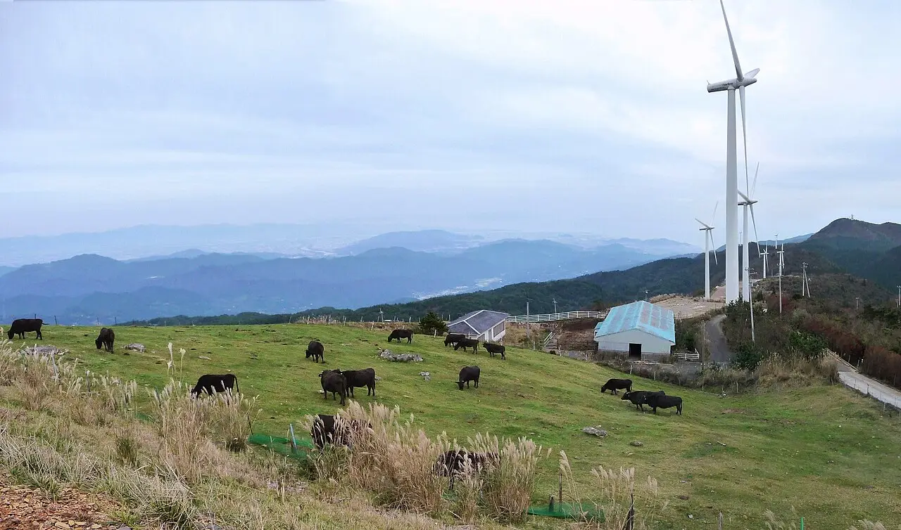 佐那河内村：大川原高原