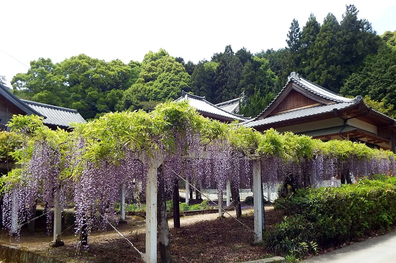 吉野川市：藤井寺